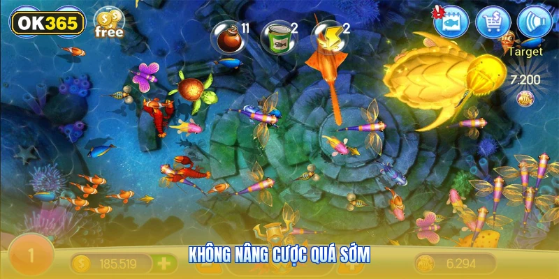 Không Nâng Cược Quá Sớm