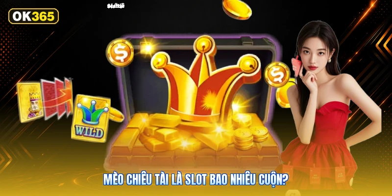 Mèo Chiêu Tài Là Slot Bao Nhiêu Cuộn?